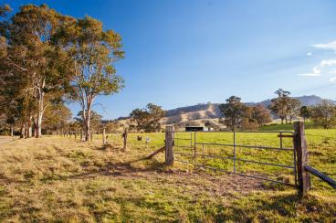 Hunter Valley Landscape in Australia