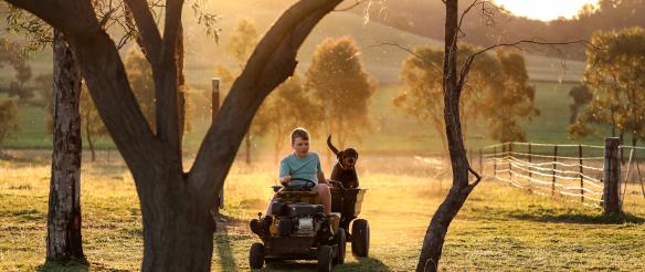 Boy driving ride on lawn mower with dog in trailer at sunset on country property with dust visible in golden sunlight